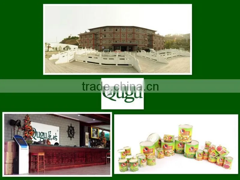 2016 New crop canned yellow peach