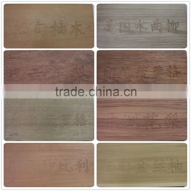 pine carving wood flush door polish