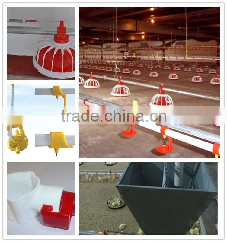 poultry cage chicken feeding system