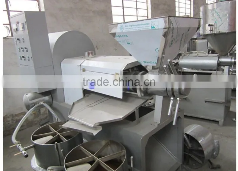 Automatic olive oil machine home olive oil cold press machine olive oil extraction machine