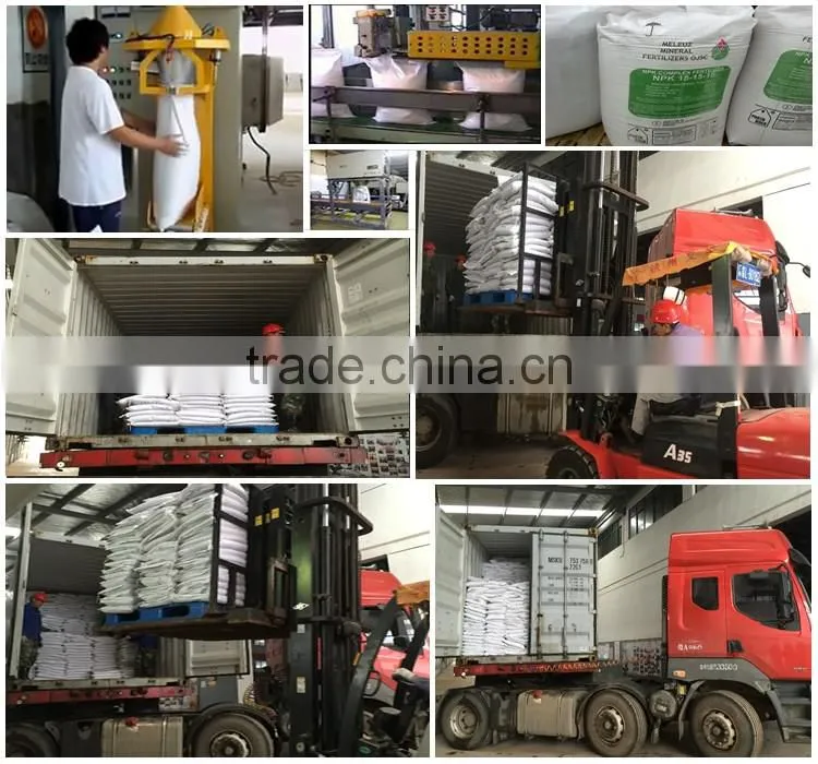 granular npk compound fertilizer 20-20-20
