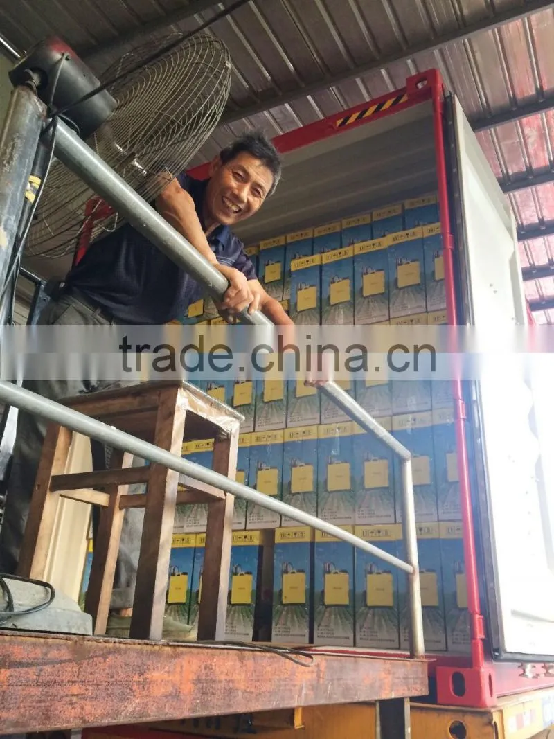 90cm Spray Gun for Power Sprayer