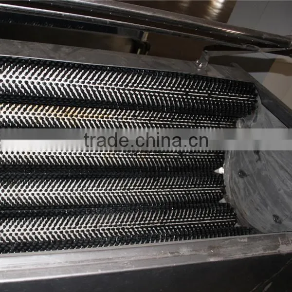 Newest professional hot sale brush roller type commercial potato washing and peeling machine