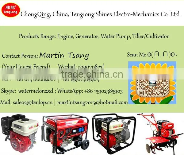 Portable 2kw Gasoline LPG Kerosene Power Generator for Home Use