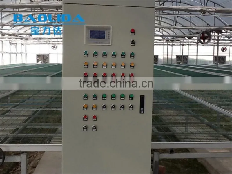 Factory price Polycarbonate cover steel pipe franmework fruit greenhouse