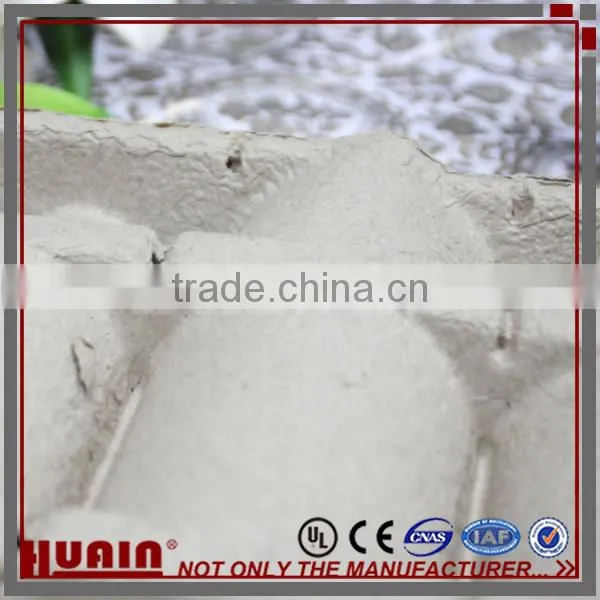 Molded Paper Product