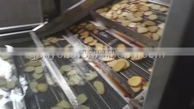 dried kiwi chips processing line