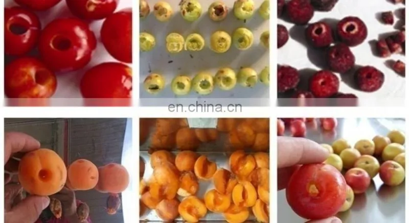 Factory Genyond automatic industrial Cherry Seed Removing equipment Date Olive Fruit Pitting Machine