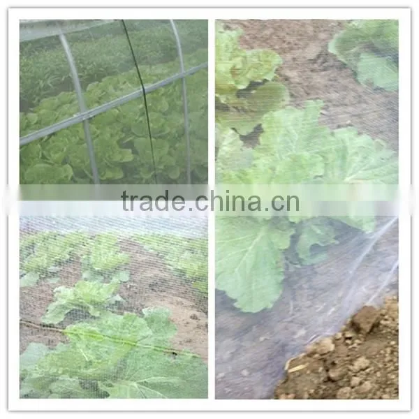 Anti insect netting screen on roll 4*50m, 40*50 mesh,100g
