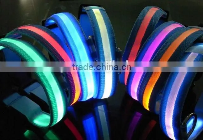 2.5cm Silk Mesh Blue Style Led Dog Collar