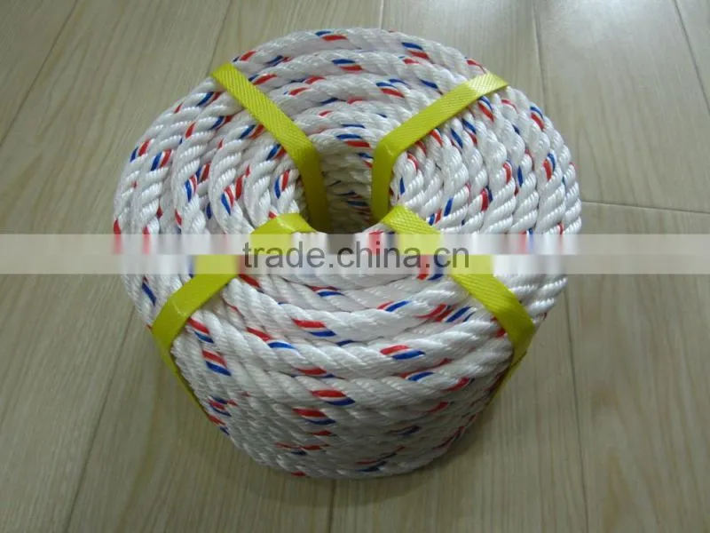 PP DANLINE ROPE