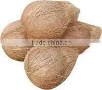 Coconut exporters