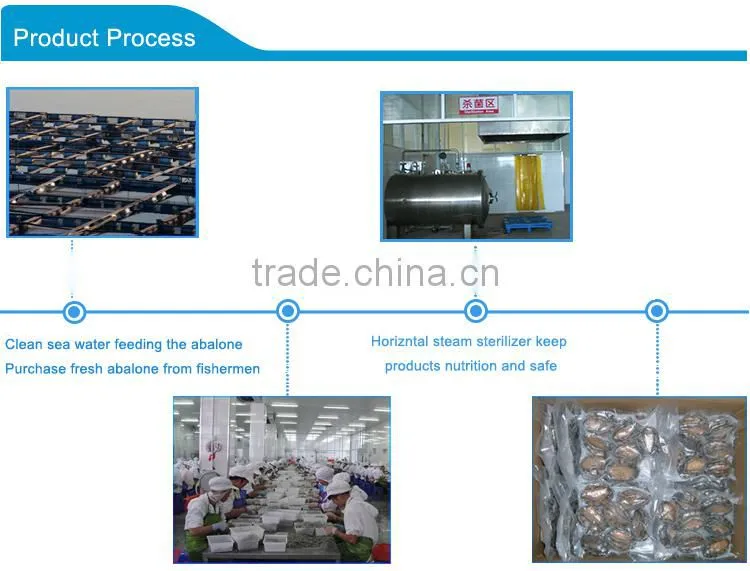 iqf frozen abalone factory