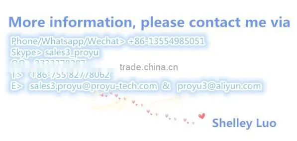 Proyu 2-wire low temperature electric bolt lock 12v for access control PY-EL4-1