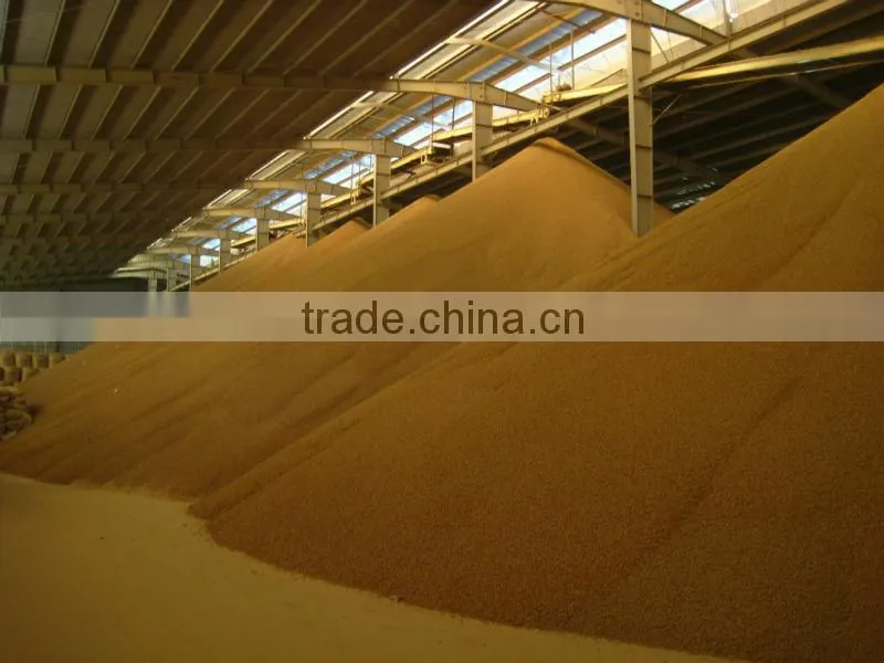 TAPIOCA RESIDUE PELLET/TAPIOCA RESIDUE POWDER