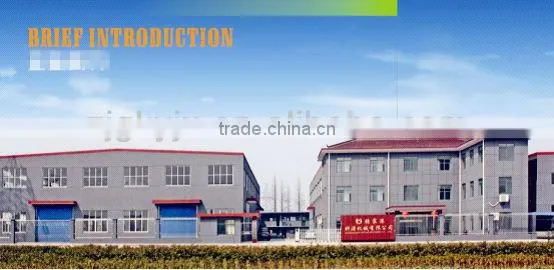automatic beer bottle capping machine cost