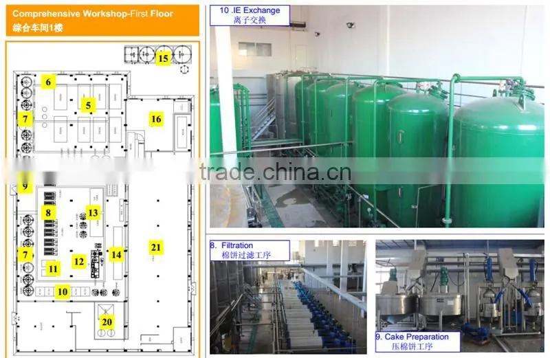 edible gelatin sheets