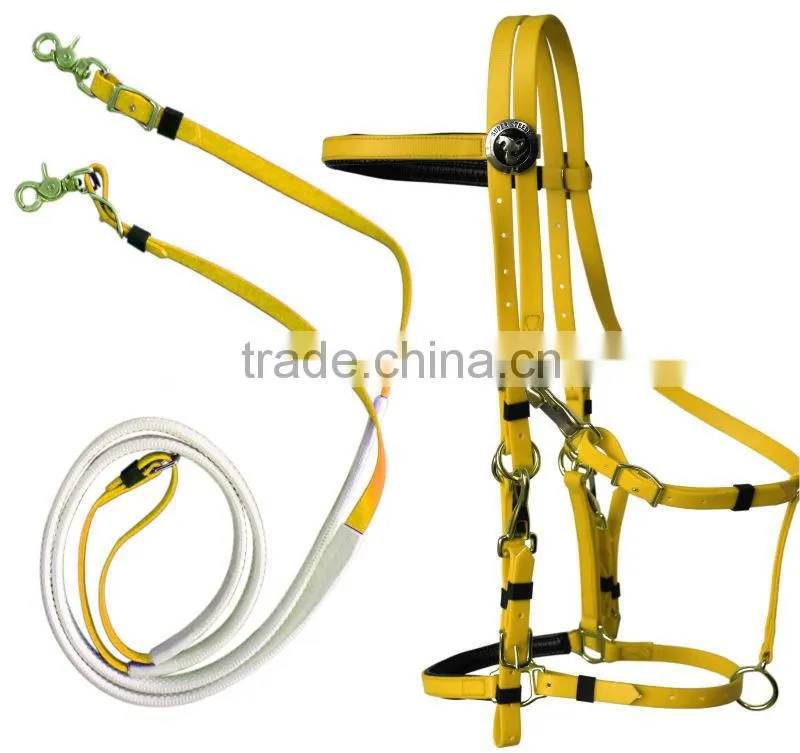 hot selling Horse Briddle with raised browband and flash padded noseband