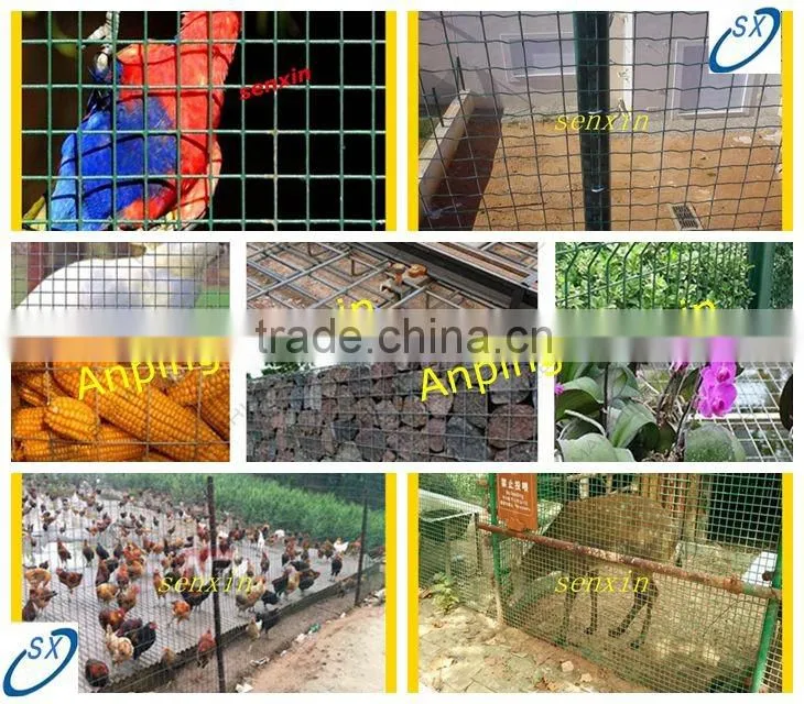 China manufacturer Galvanized welded wire mesh panel or roll , pvc coated Welded Wire Mesh