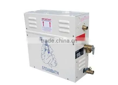 Home use wet steam factory produce OEM accepted mini steam generator