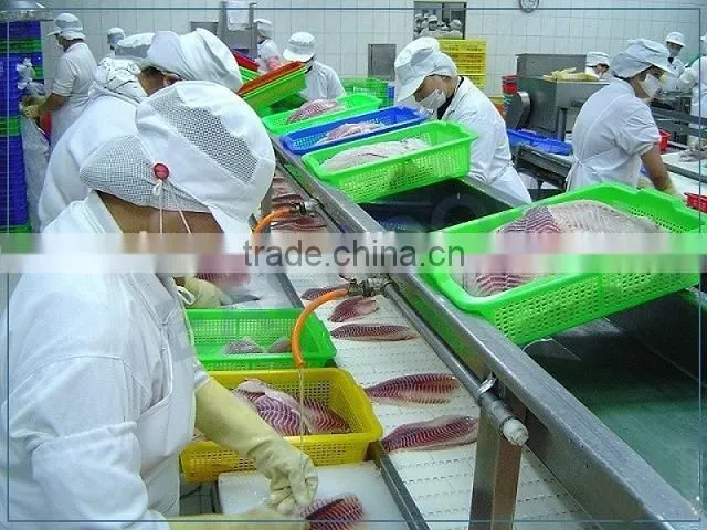 Food Grade Modular Belt Conveyor System Line