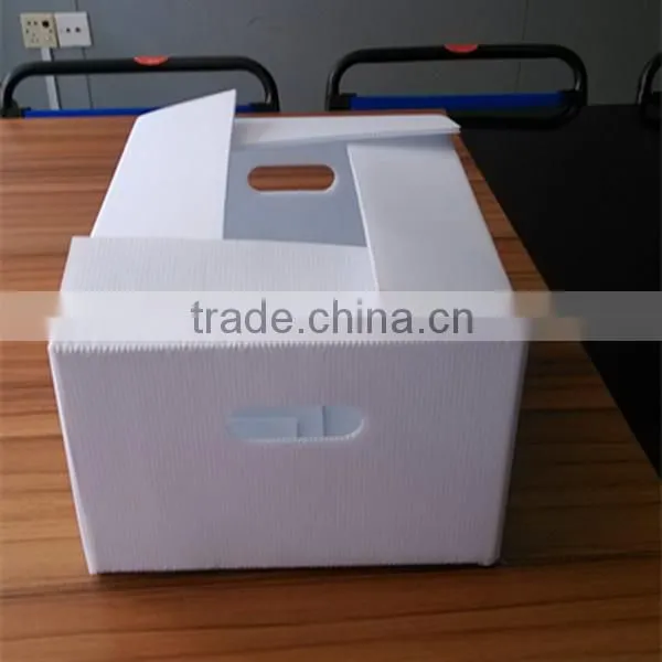corrugated plastic boxes for packing vegetable and fruit