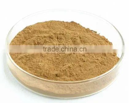 Flax Seed Extract 10:1