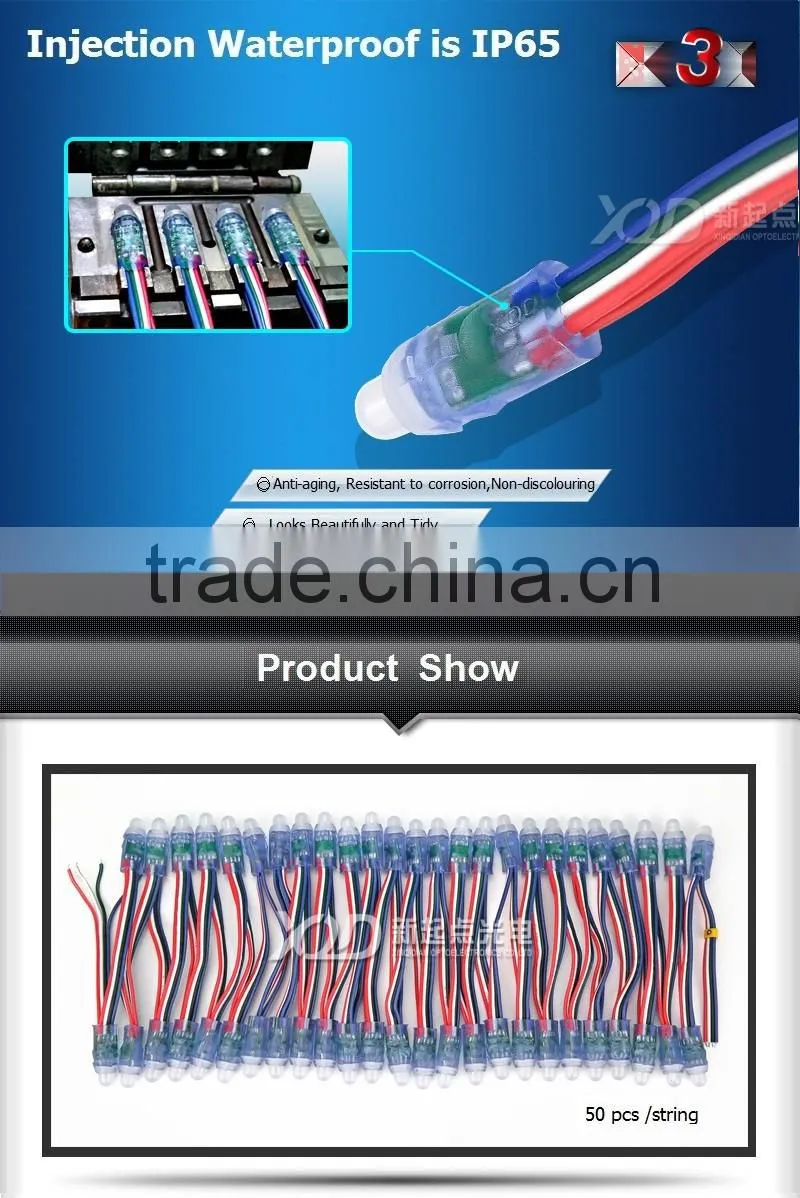 12MM WS 2811 led pixel light for Christmas use in outdoor Waterproof IP68 DV5