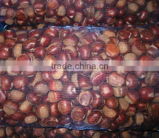 Chestnut Type Raw chestnut
