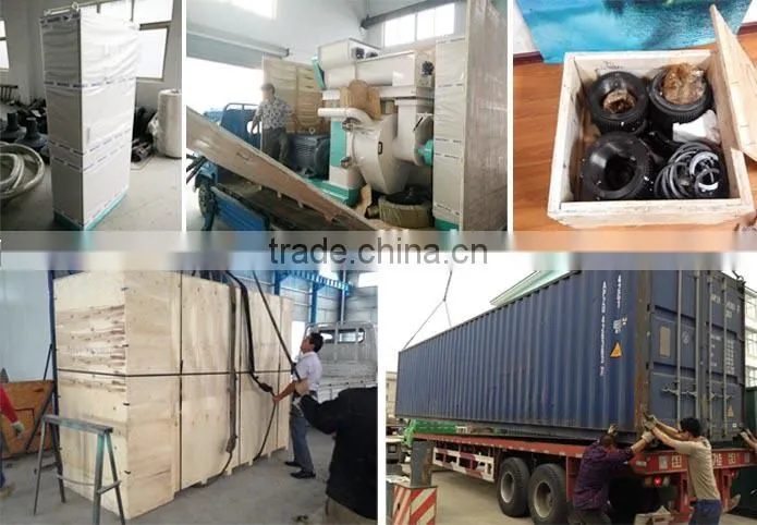 800KG Agriculture Waste Pellet Press