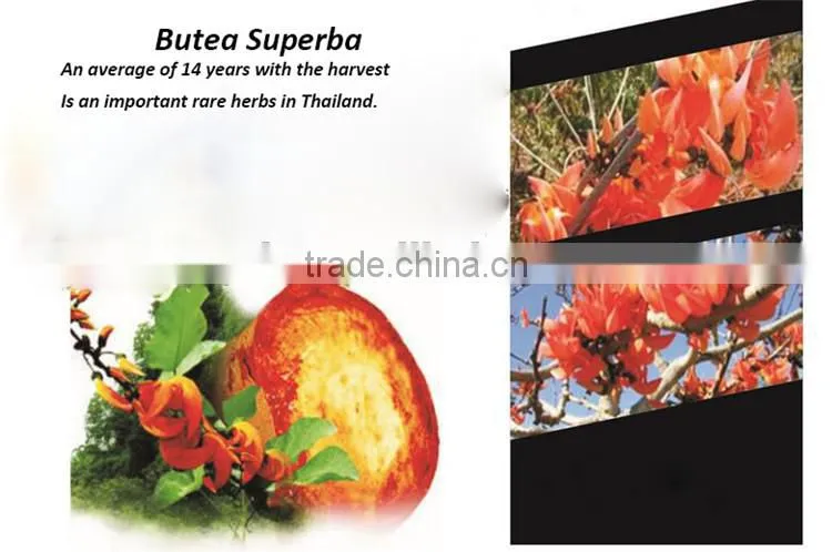 Nourishing KidneyThailand Butea Superba enhancement sex tablet
