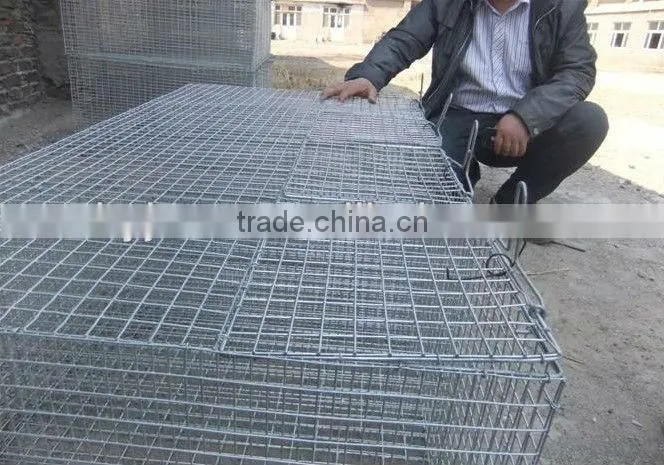 Mink Farming