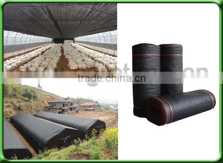 Venlo Greenhouse PC Sheet glass covering hot sale greenhouse/glass greenhouse