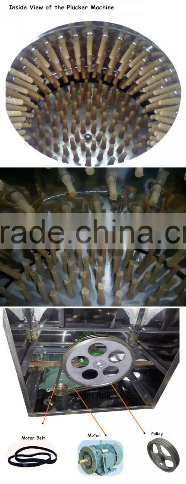 Best Selling Wholesale Automatic Commercial Chicken Plucker Machine