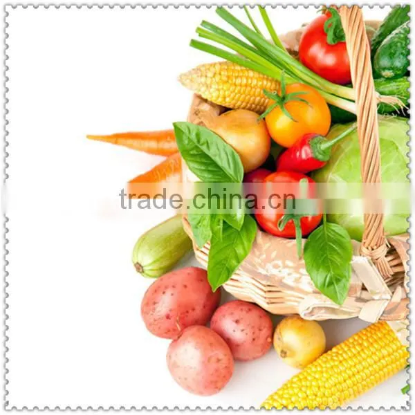 Multi-function industrial popular abroad electric food vegetable chopper