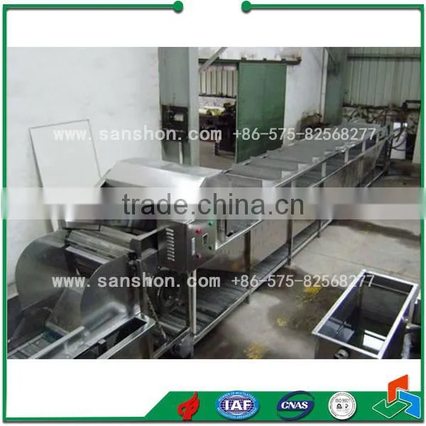 China Vegetable Potato Chips Blanching Machine