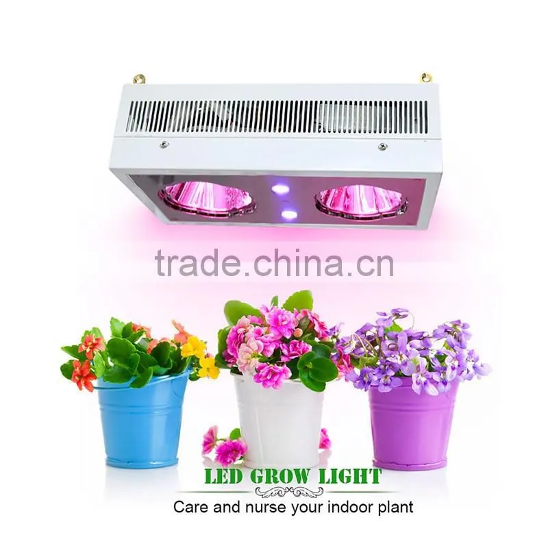 UV Light Lamp Malaysia Greenhouse Horticulture Used LED Grow Light