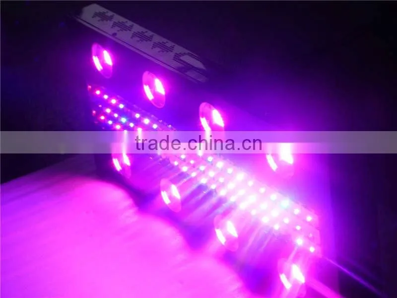 high power LED grow light best for greenhouse project