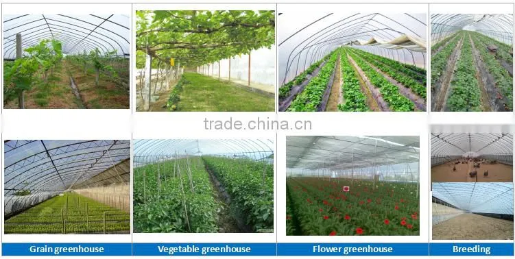 200 mic 3 layer greenhouse coextrude film blowing machine