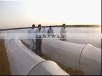 Pp spunbond nonwoven Fabrics for Crop Protection / Agriculture