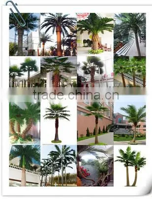 LXY080514 noble home decoration plant plastic artificial coconut palm tree for sale
