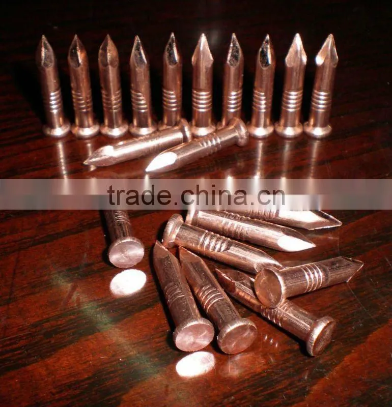 Hot Copper Nails