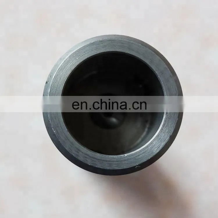 Chongqing Supplier Diesel Engine Pressure Regulator Plunger 3068979