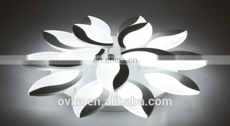 Modern simple high quality led ceiling light for living room