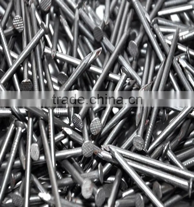 common nails for construction usage iron nails