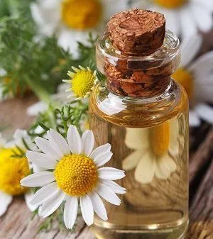 1000-4000L Patchouli Essential Oil Essential Oil Essential Oil Distillation Plant