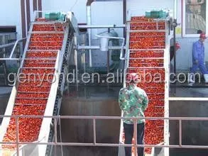 Tomato Paste Making Machine Production Line