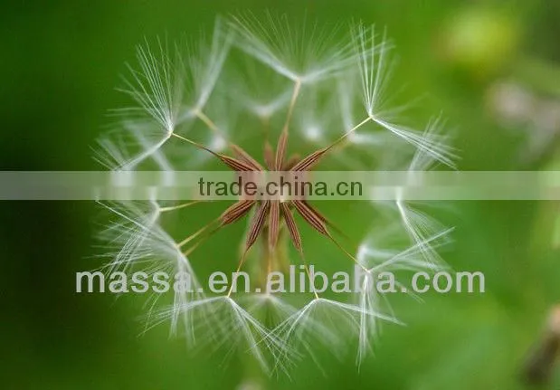 Macro extension tube for Canon EOS camera