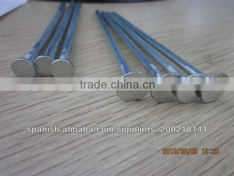 galvanized coated broad head nails