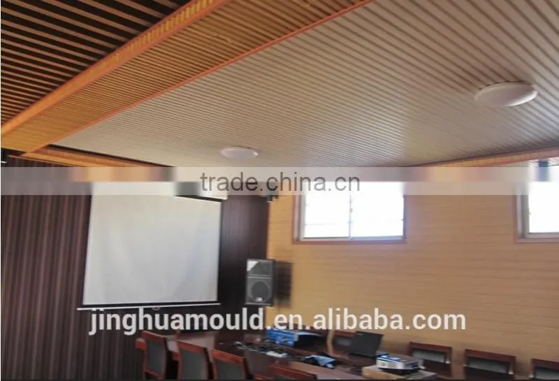 WPC Mould for Wood Plastic Composite Wall Panel WPC Cladding